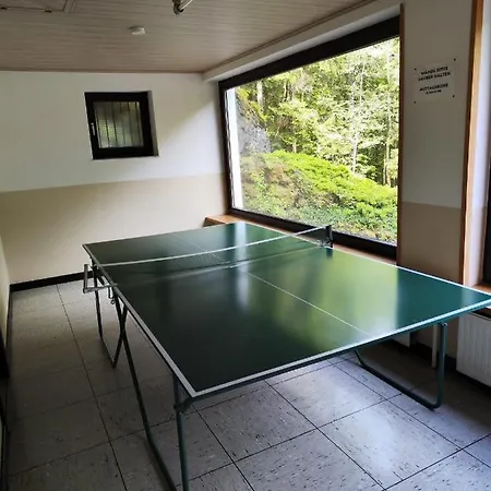 Wald-panorama Fuchsenstein Apartment Spiegelau